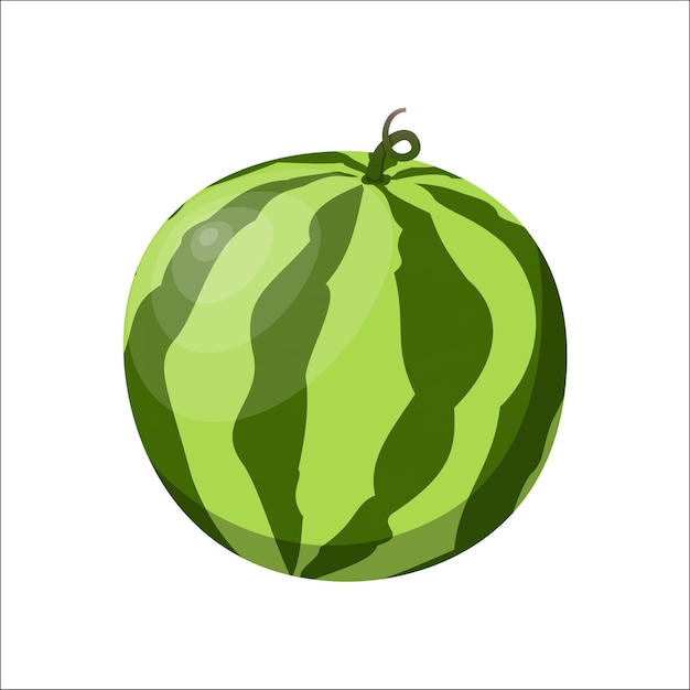 Ilustración vectorial jugosa madura de sandía aislada sobre fondo blanco