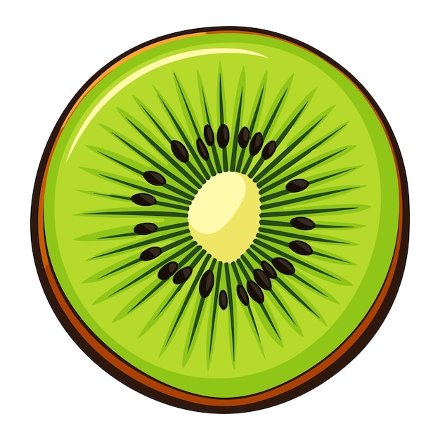 Ilustración vectorial del kiwi entero maduro y de la mitad del kiwi