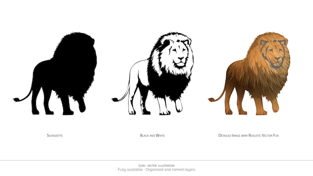 Vector ilustración vectorial de león majestuoso silueta de león en blanco y negro león vector detallado ilustración realista de animales capas organizadas y animación vector listo dibujo vectorial realista león