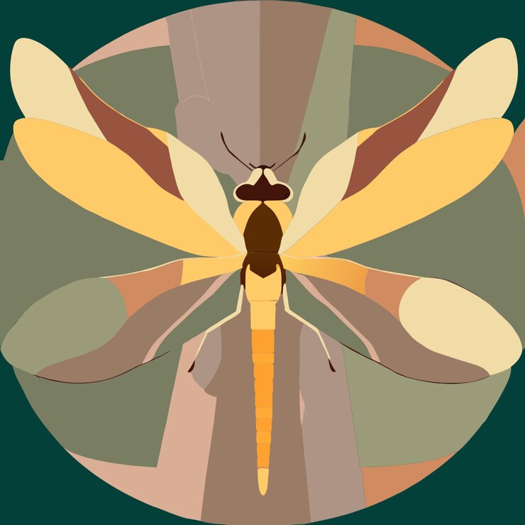Vector ilustración vectorial de libélula