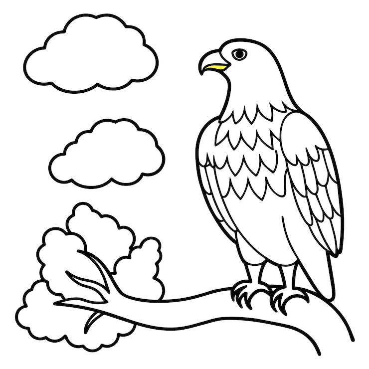 Vector ilustración vectorial de un libro para colorear pájaros 43