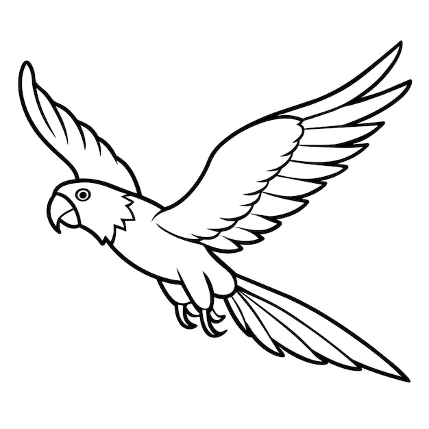 Ilustración vectorial de un libro para colorear pájaros 51