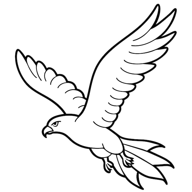 Ilustración vectorial de un libro para colorear pájaros 60