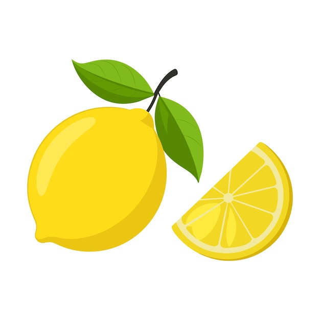 Ilustración vectorial de limón dibujada a mano