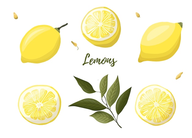 Vector ilustración vectorial de limones amarillos en una rama vegetales frutas cocina cocinar comer jardinería