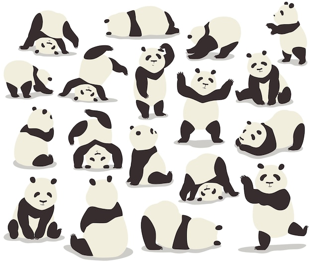 Vector ilustración vectorial de la linda colección de pandas en diferentes poses