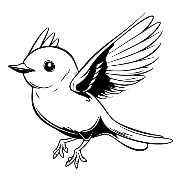Ilustración vectorial de un lindo pájaro de dibujos animados aislado sobre un fondo blanco
