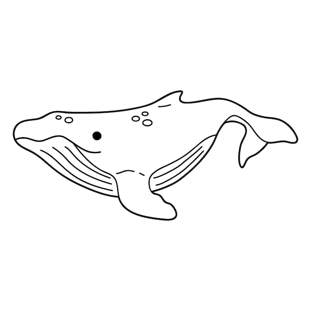 Ilustración vectorial de un lindo personaje de dibujos animados de ballena para niños para colorear y libro de recortes