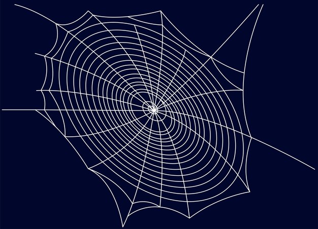 Ilustración vectorial de la línea de araña