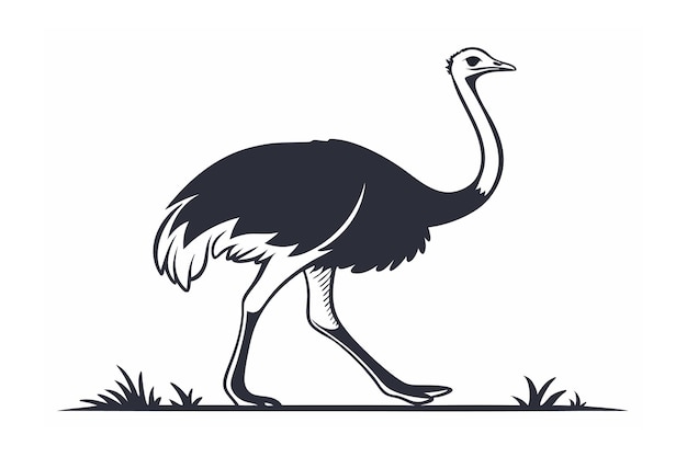 Ilustración vectorial de la línea de avestruz