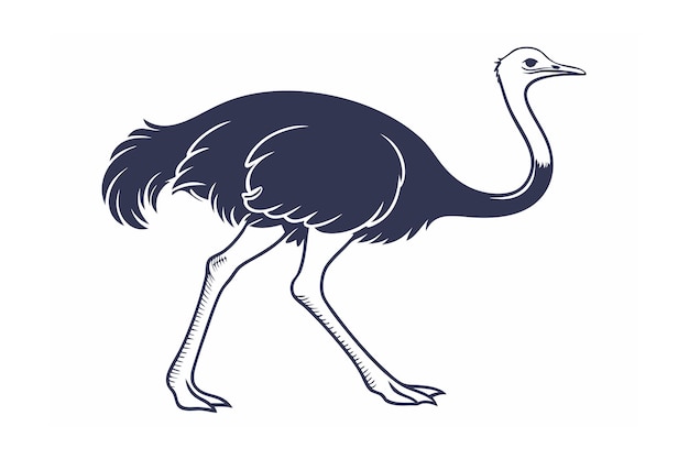 Ilustración vectorial de la línea de avestruz