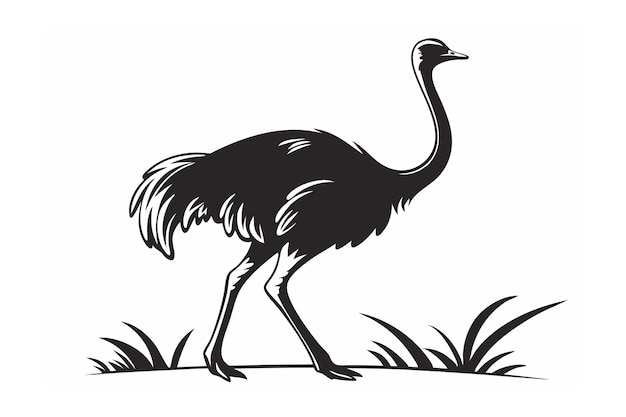 Ilustración vectorial de la línea de avestruz