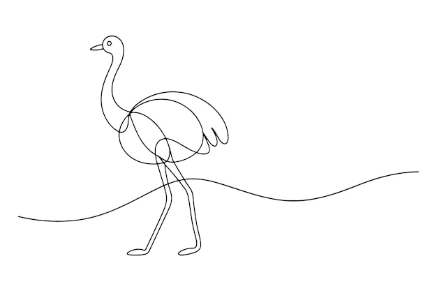 Ilustración vectorial de línea continua de avestruz sobre fondo blanco