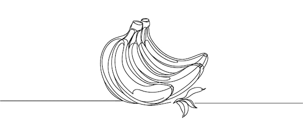Ilustración vectorial de línea continua de una rama de plátano Plátano en una línea