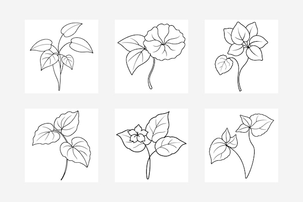 Ilustración vectorial de la línea de flores de begonia