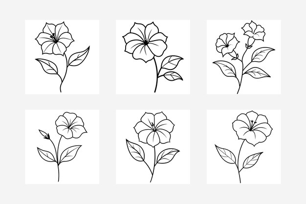 Ilustración vectorial de la línea de flores de la petunia