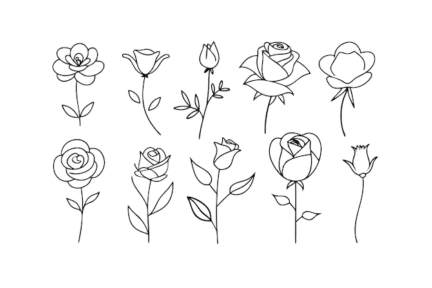 Ilustración vectorial de la línea de flores de rosa elegante