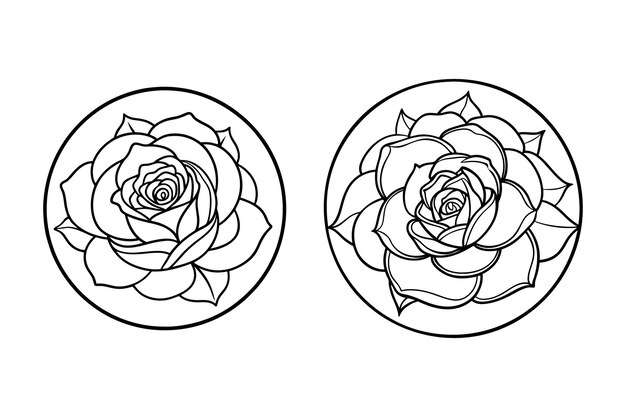 Ilustración vectorial de la línea de flores de rosa