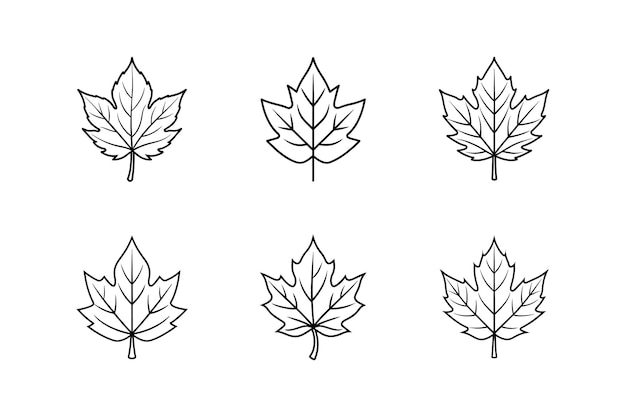 Ilustración vectorial de la línea de hojas de otoño