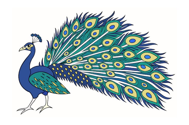 Ilustración vectorial de la línea de pavo real