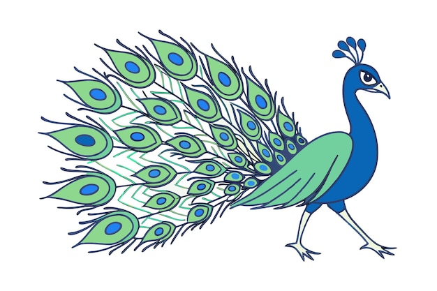 Ilustración vectorial de la línea de pavo real