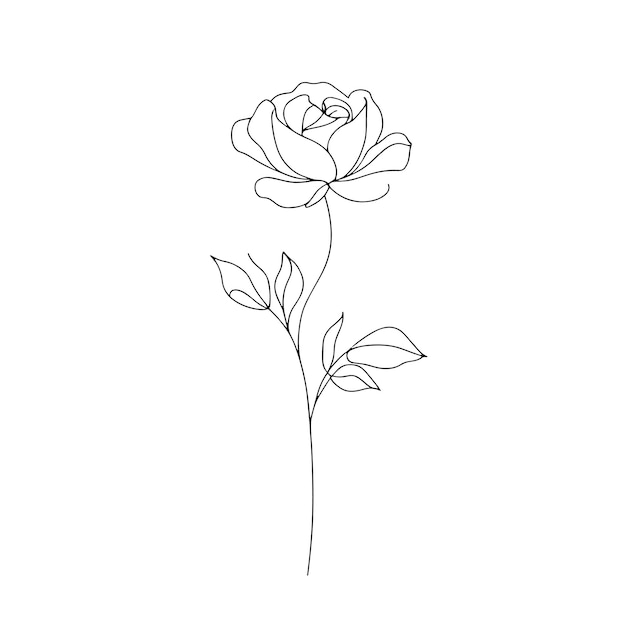 Ilustración vectorial de línea única dibujada a mano mínima Hojas de tallo de flor de rosa