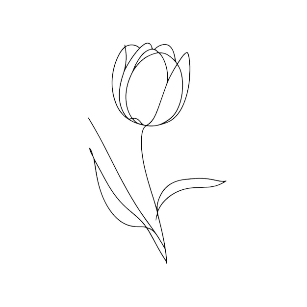 Ilustración vectorial de línea única dibujada a mano mínima Hojas del tallo de la flor del tulipán