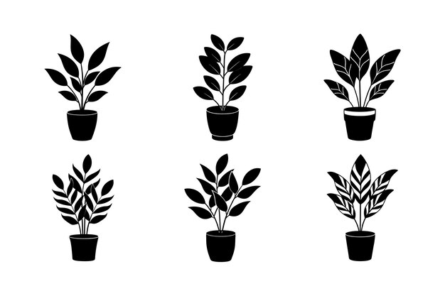 Ilustración vectorial de linocuto con el diseño de la planta Zamioculcas zamiifolia etiquetada