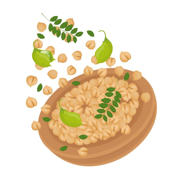 Ilustración vectorial Logo Clipart Levitación de garbanzos crudos