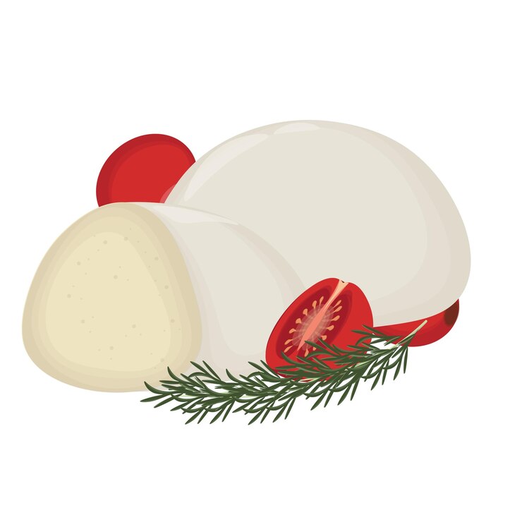 Ilustración vectorial Logo Clipart Queso italiano entero y trozos de mozzarella