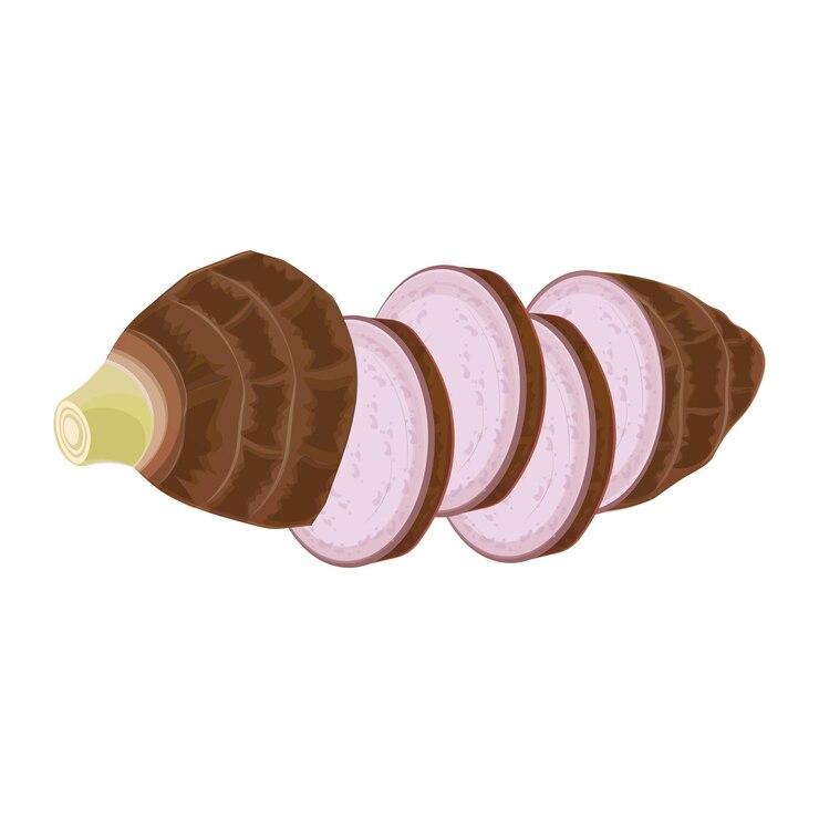 Ilustración vectorial del logotipo clip art en rodajas de raíces de taro