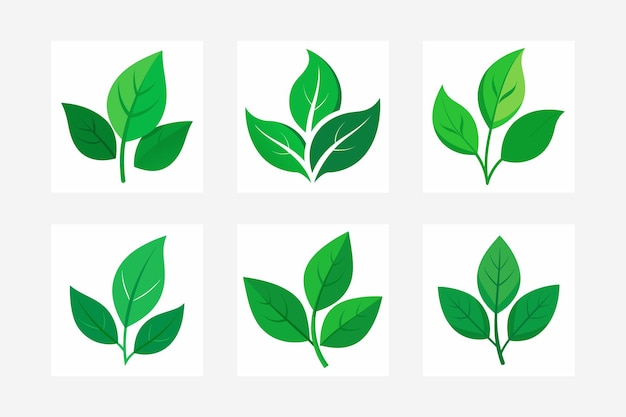 Ilustración vectorial del logotipo de la hoja verde