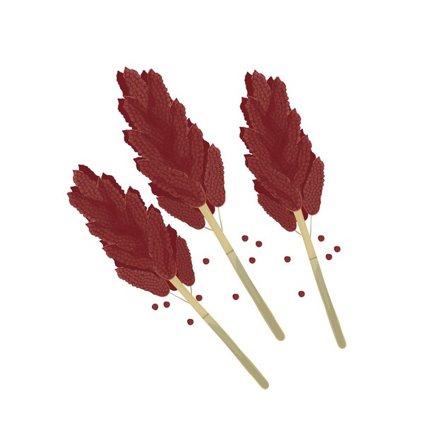 Ilustración vectorial del logotipo Sorghum secado bicolor