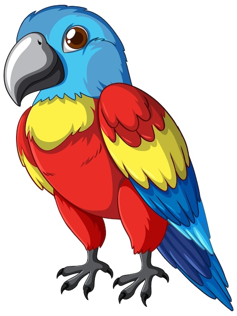 Ilustración vectorial de loro de colores