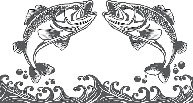 Ilustración vectorial de la lubina de peces marinos