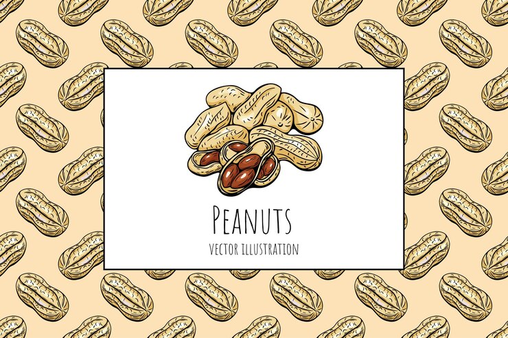 Vector ilustración vectorial de maní con fondo sin costuras y estilo dibujado a mano