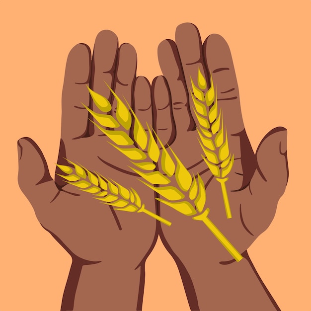 Vector ilustración vectorial de manos humanas sosteniendo espigas de trigo.