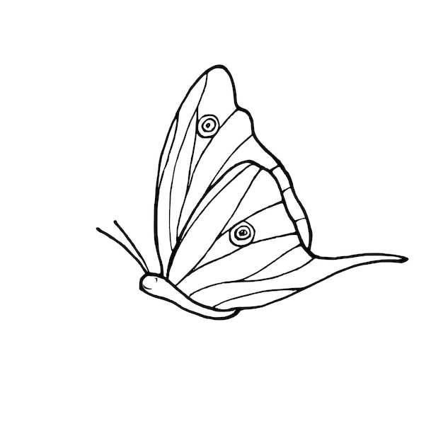Ilustración vectorial de mariposa tropical voladora monocromática en estilo abstracto dibujo en blanco y negro de insectos decorativos pintados con tintas para diseño art déco página de colorear postales