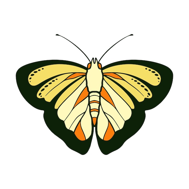 Vector ilustración vectorial de mariposas