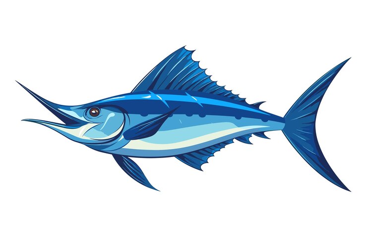 Vector ilustración vectorial del marlín azul aislado en el fondo