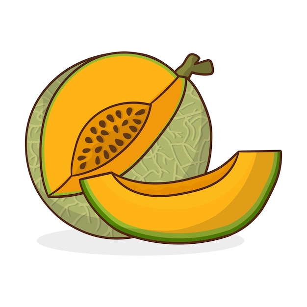 Ilustración vectorial del melón con patrón de red