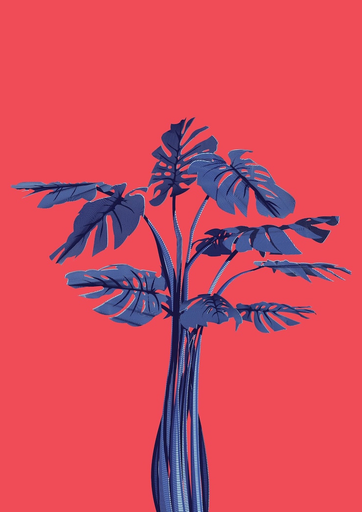 Vector ilustración vectorial de monstera
