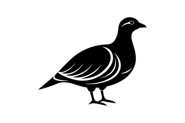 Vector ilustración vectorial negra de silueta de linocuto de pájaro de la perdiz de arena árabe