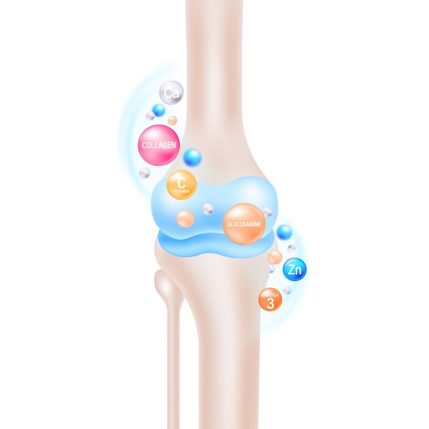 Vector ilustración vectorial de nutrientes y suplementos para la salud de la articulación de la rodilla