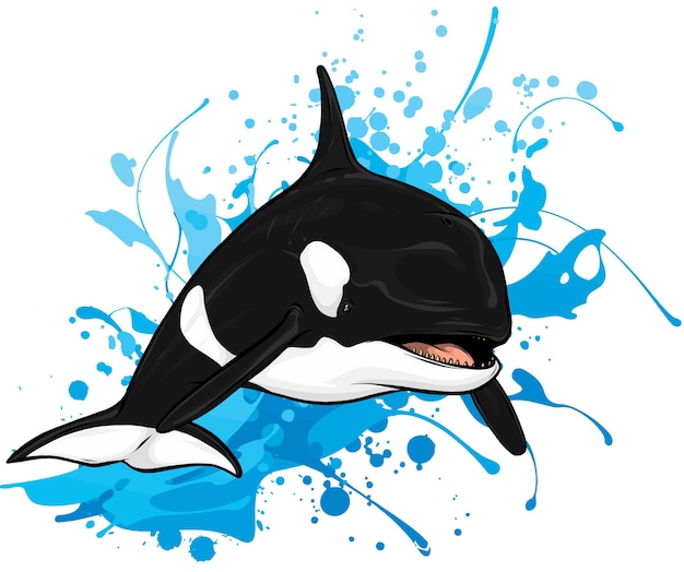 ilustración vectorial de orca saltando fuera del agua