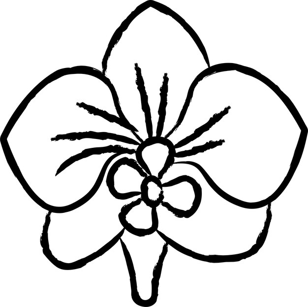 Ilustración vectorial de orquídeas dibujada a mano