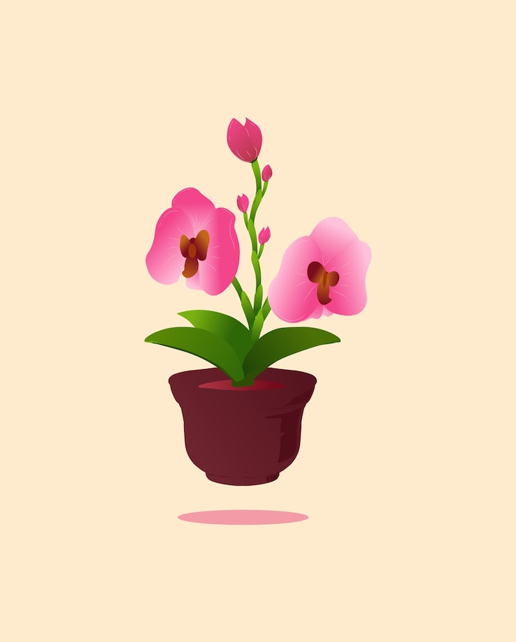 Vector ilustración vectorial de orquídeas en macetas