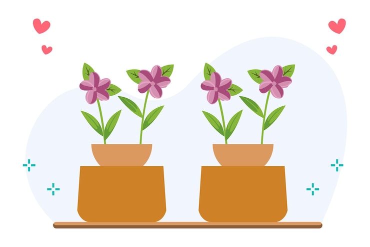 Vector ilustración vectorial de las orquídeas