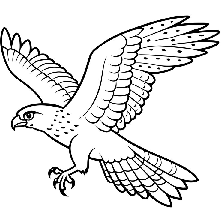 Vector ilustración vectorial de la página del libro de colorear del pájaro halcón 6