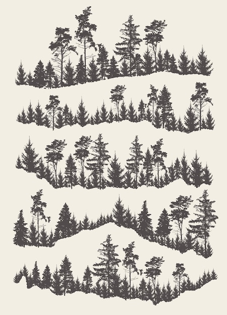 Ilustración vectorial de un paisaje forestal en los contornos de pinos Plantilla para la creatividad